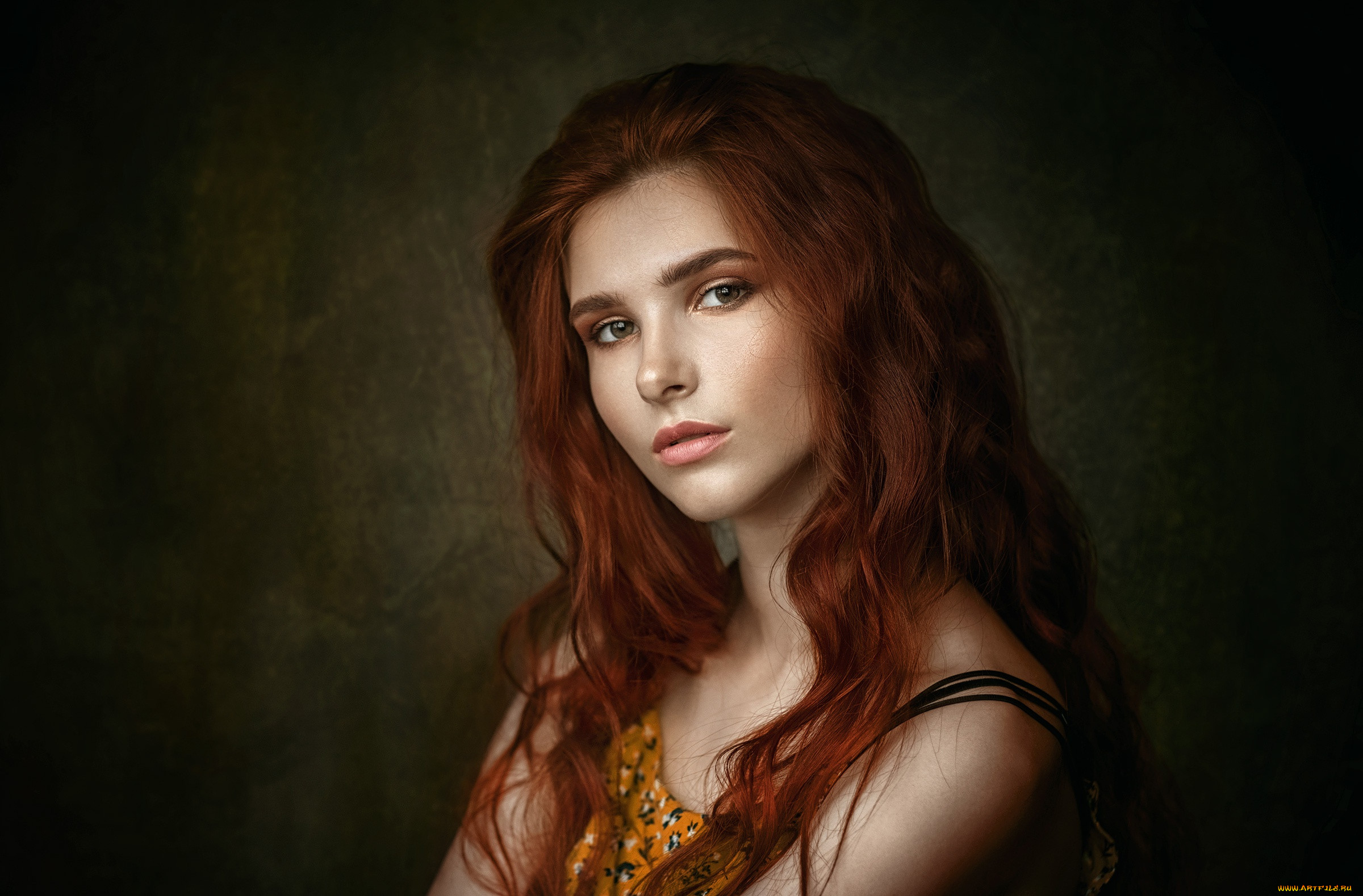, -   , 